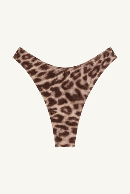 COCO - Leo